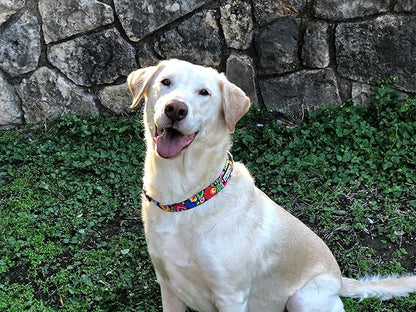 Lucky Love Dog Collars, Vivid Floral Dog Collar, Cute Dog Collar for X-Large Female Dogs, Spring & Summer Themed Flower Print, Blackbird, Extra Large