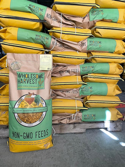 Non-GMO Turkey & Game Bird Starter Feed  40 lb, 28% Protein, Omega-3, Calcium, Probiotics, Prebiotics & Herbs  Complete Nutrition and Quality Game Bird Feed