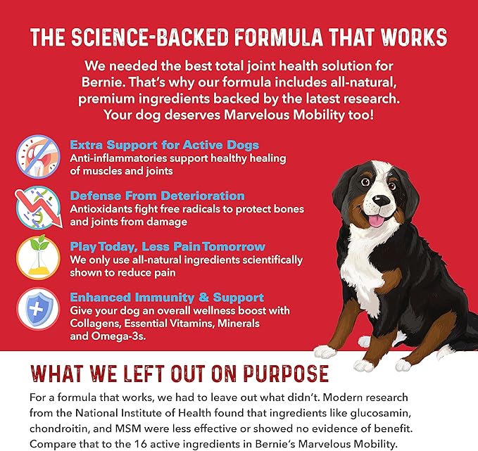Bernie's Marvelous Mobility - Daily Total Joint Support for Dogs - 90 Soft Chews - Maintain & Rebuild Mobility, Supports Joint Tissue Health