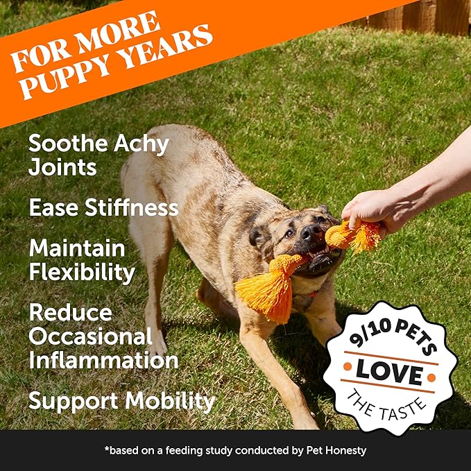 Hemp Hip & Joint Supplement for Dogs - Hemp Oil & Powder - Glucosamine Chondroitin for Dogs, Turmeric, MSM, Green-Lipped Mussel, Supports Mobility, May Reduce Discomfort (Duck)