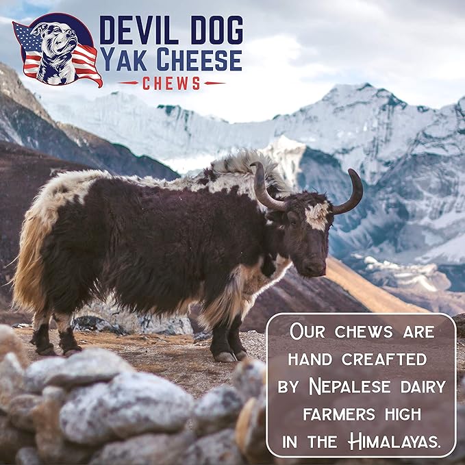 Devil Dog Pet Co. HimalayaFn Yak Chews Nuggets 1 Pound Bag  Natural & Nutrient Dense Dog Treats, Cheesy Himalayan Yak Puffs  Promotes Dental Health, Easy to Digest & Suitable for All Dogs