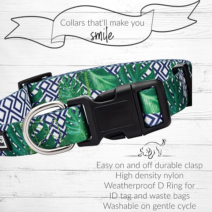 Lucky Love Dog Collar, Beautiful & Vivid Pattern Medium Boy Dog Collars, Easy On & Off Clasp Accessory (Blue Laguna, M)