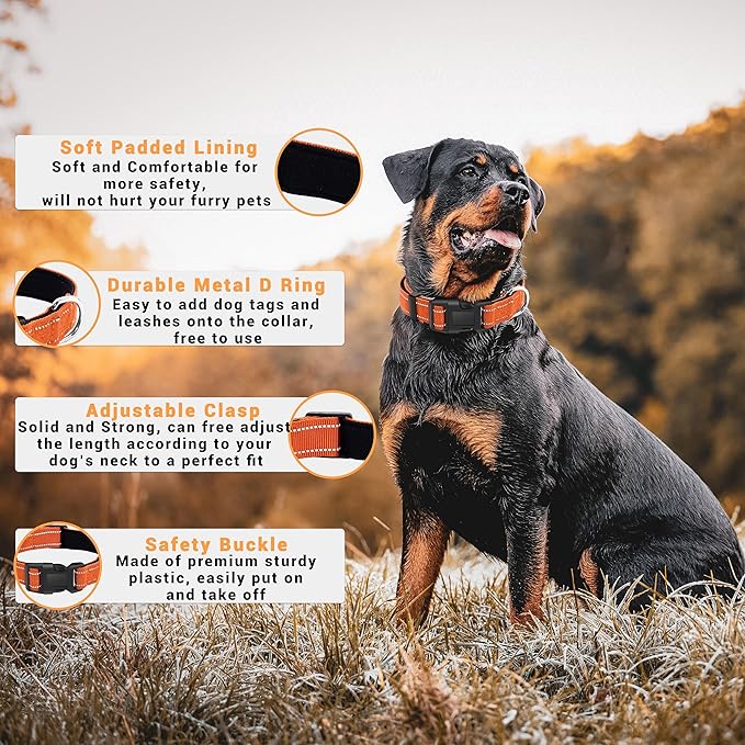 2 Pack Reflective Dog Collar with Safety Locking Buckle, Adjustable Soft Breathable Comfortable Nylon Pet Collar for Small, Medium and Large Dogs, Orange, XS