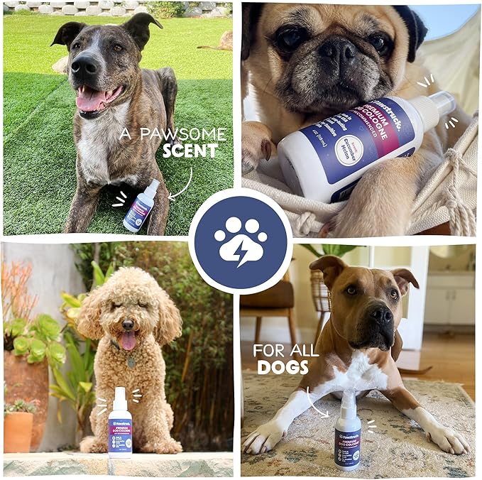 Vet Recommended Premium Dog Cologne & Perfume Deodorizing Spray - Long Lasting Puppy Safe Sensitive Skin Formula Made in USA - Grooming Odor Eliminator - Fresh Cucumber Melon Scent - Alcohol Free 4 oz