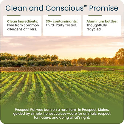 Hip and Joint Supplement for Dogs - Glucosamine with Plant-Based Chondroitin, MSM & Pumpkin - Advanced Joint Relief Dog Supplements for Large & Small Breeds - USA Made 16OZ