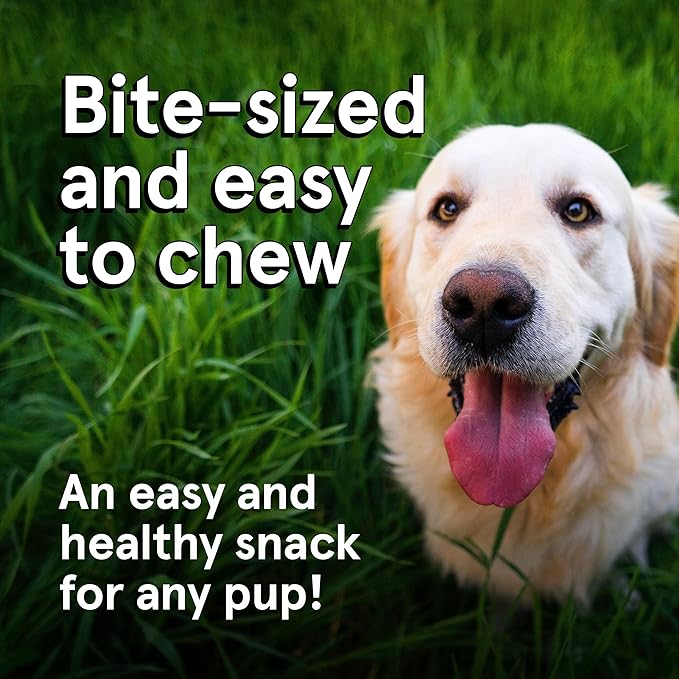 Real Meat Dog Treats - Two 12oz Bag of Bite-Sized Air-Dried Lamb & Venison Jerky for Dogs - Grain-Free Jerky Dog Treats with 95% All-Natural, Human-Grade, Free-Range, Grass Fed Lamb & Venison