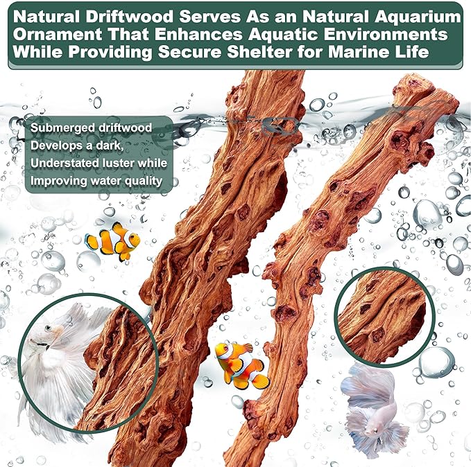 Natural Wood Driftwood for Aquarium Fish Tank Wood,Extra Large Trunk Driftwood for Reptile Tank Decor (SLM-Trunk M (13 to15 Inch)-Pack of 2)