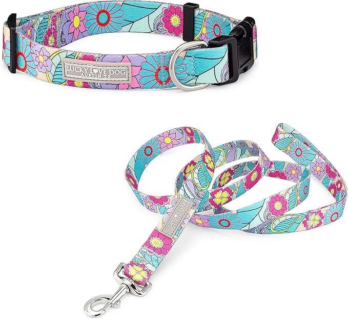 Lucky Love Dog Collars, Cute Girl Collars, Small Medium Large Female Collars, Part of Purchase Donated to Rescue (Extra Large, Caroline, Combo)