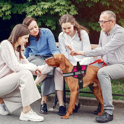 Dogline Unimax Service Dog Vest and Free Service Dog ID Badge with ADA Law, X-Large, Pink