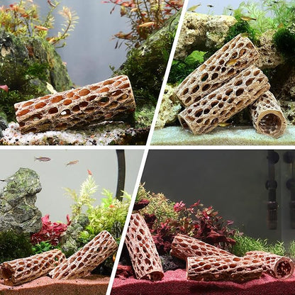 5.9“ Resin Cholla Wood Aquarium Décor Wood- Realistic Shrimp Hideout & Climbing Toy (1-Pack / 2-Pack) (1 PCS)
