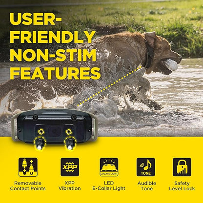 Dogtra 1900X E-Collar for Dog Training - 3/4 Mile Range, Dogs 35 lbs+, IPX9K Waterproof, 100 Stimulation Levels, Vibration, Tone, Rechargeable - Ideal for Dog Owners and Professional Trainers
