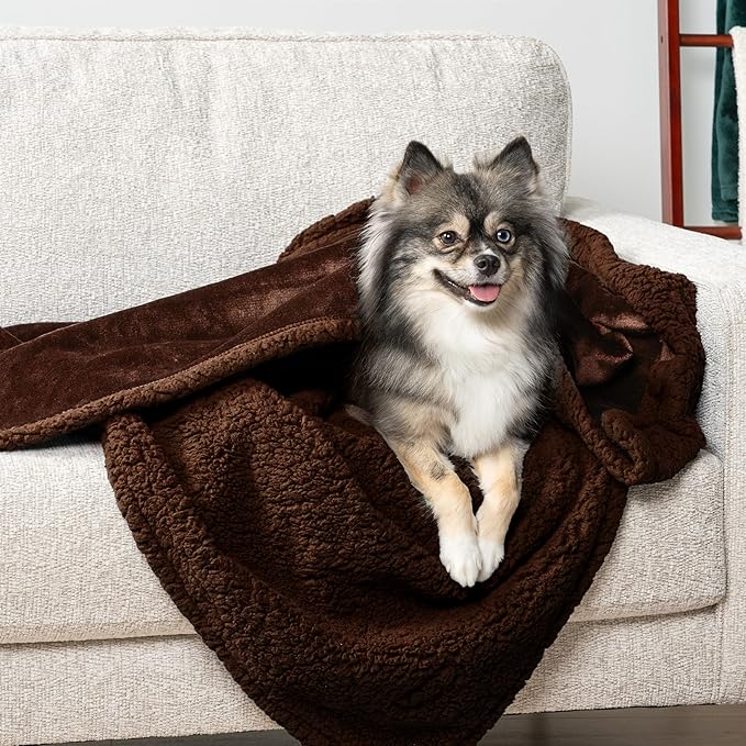 PetAmi Waterproof Dog Blanket for Small Medium Dog, Pet Puppy Blanket Couch Cover Protection, Sherpa Fleece Cat Blanket Couch Sofa Bed Furniture Protector Reversible Soft Washable 29x40 Brown Brown