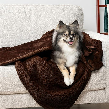 PetAmi Waterproof Dog Blanket for Small Medium Dog, Pet Puppy Blanket Couch Cover Protection, Sherpa Fleece Cat Blanket Couch Sofa Bed Furniture Protector Reversible Soft Washable 29x40 Brown Brown