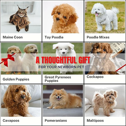 Grooming Dog Slicker Brush for Toy Poodle, Small Doodles & Maine Coon Cats - Best Dog Brush for Cockapoo Cavapoo Maltipoo and Pomeranian - Pet Slicker Brush & Comb Kit for Cats & small Great Pyrenees