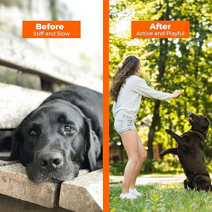 Pawlabs G-Max Joint Support for Dogs - Maximum Strength Hip & Joint Supplement with Glucosamine, Chondroitin, MSM etc - Relieves Arthritis Pain & Hip Dysplasia - Bacon Flavor, 60 Chews