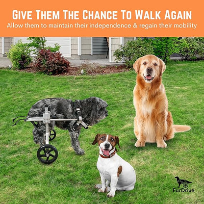 Dog Wheelchair for Back Legs  Small, Medium & Large  Lightweight Aluminum Alloy - Adjustable Wheelchair for Dogs with Disabled Hind Legs  Cat Wheelchair - Dog Carts with Wheels