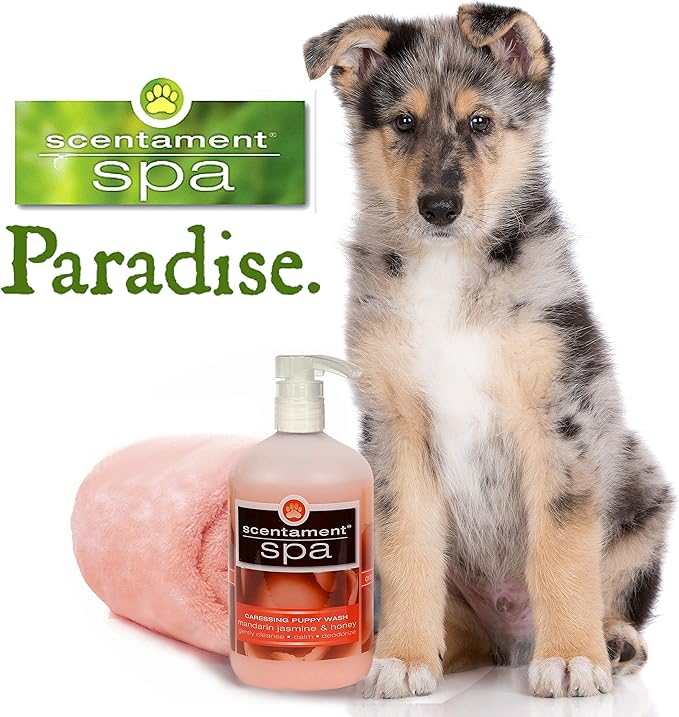 Best Shot Scentament Spa Puppy Conditioner, Mandarin Jasmine Honey Fragrance, pH Balanced and Hypoallergenic Skin Care Product for Any Dog, Cat, Puppy, and Kitten, 1 Gallon
