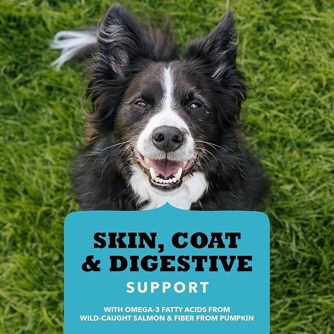 Chewy Strips Dog Treats, Salmon, High Protein Dog Treats, 4oz