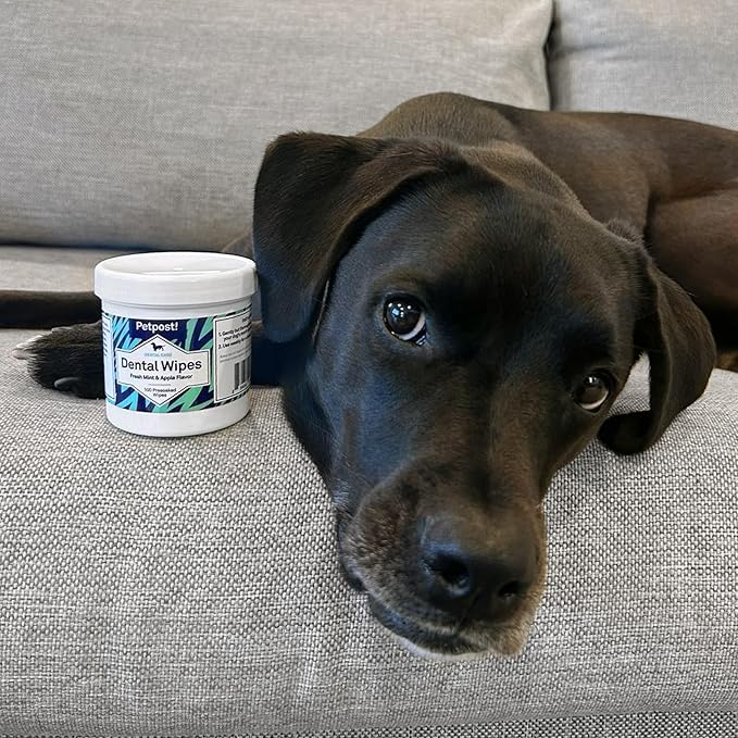 Petpost | Dental Wipes for Dogs - Bad Breath and Tooth Buildup Remover - Presoaked Pads in Natural Tooth Cleaning Solution 100 ct.