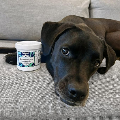 Petpost | Dental Wipes for Dogs - Bad Breath and Tooth Buildup Remover - Presoaked Pads in Natural Tooth Cleaning Solution 100 ct.