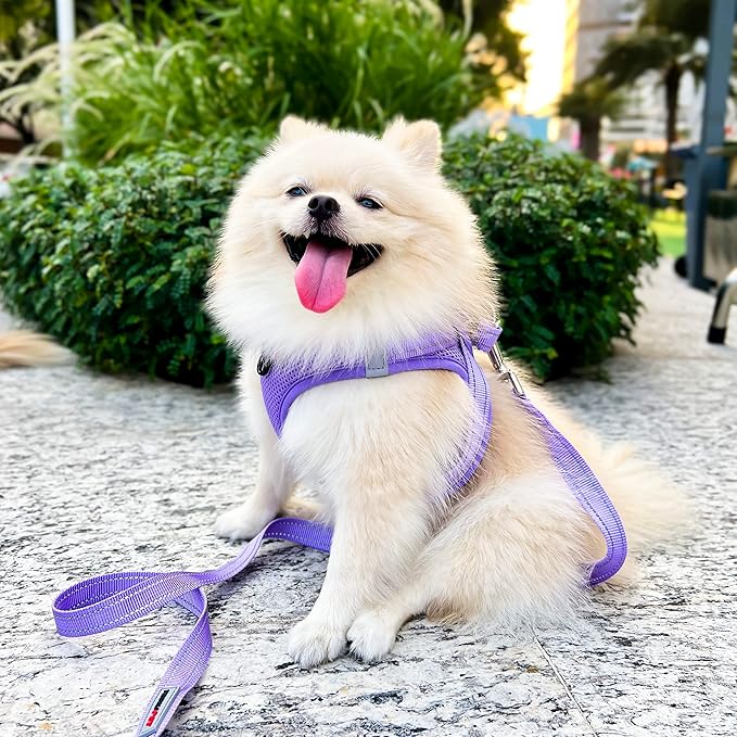 Dog Harness,Step in no Pull Dog Harness Adjustable Reflective Padded Mesh Fabric Dog Vest for Extra-Small/Small Medium Dogs and Cats,Purple,XS