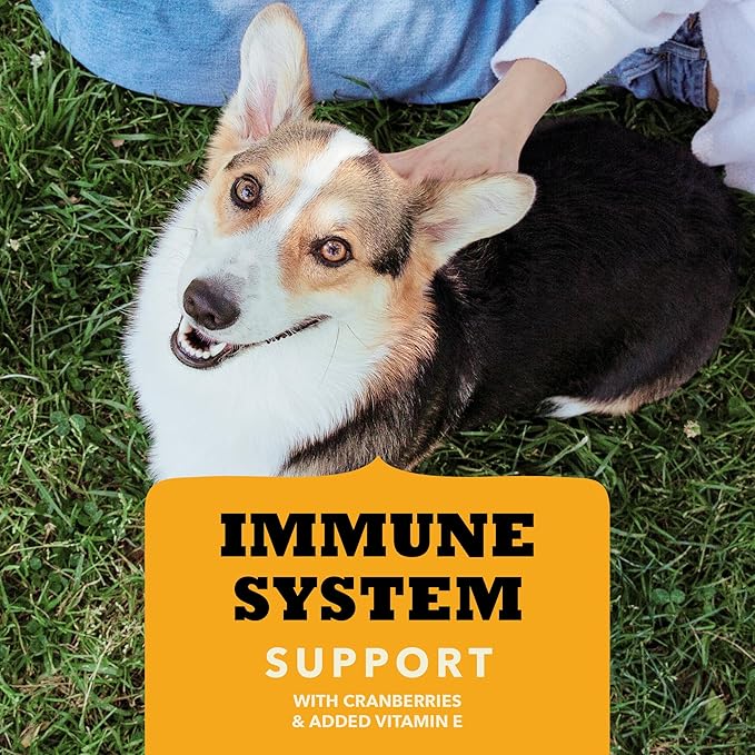 Chewy Strips Dog Treats, Chicken, Chewy Poultry Treats, 4oz