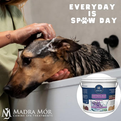 Madra Mor Soothing Dog Essentials Mud Bath | Dog Bath Dog Hot Spot Treatment for Dog Allergy & Dog Itch Relief | Dog Coat Skin Care Products | 7.5lb Pail w Worldwide Nutrition Multi Purpose Key Chain