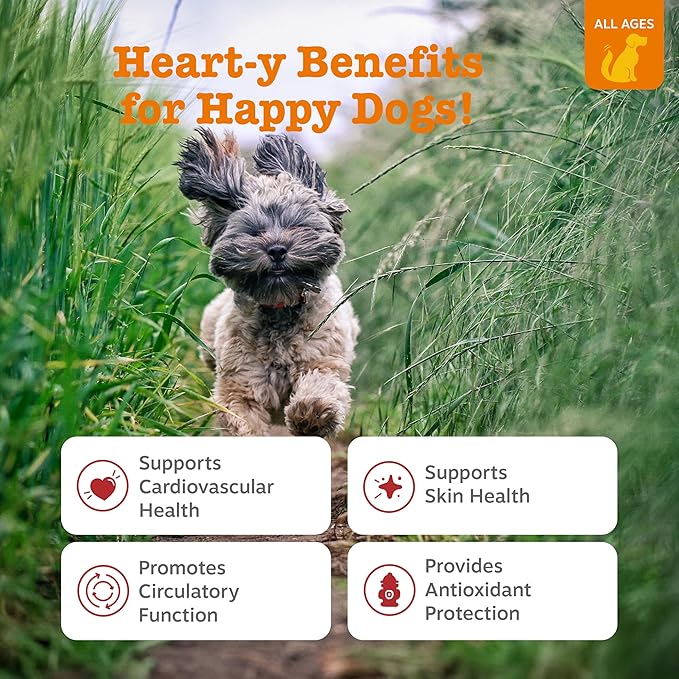 Zesty Paws Cardiovascular Support for Dogs - Taurine for Dogs - with CoQ10, L Carnitine & Sea Buckthorn - Senior Heart Health - AlaskOmega Fish Oil Omega 3 - Senior - Salmon - 90 Count