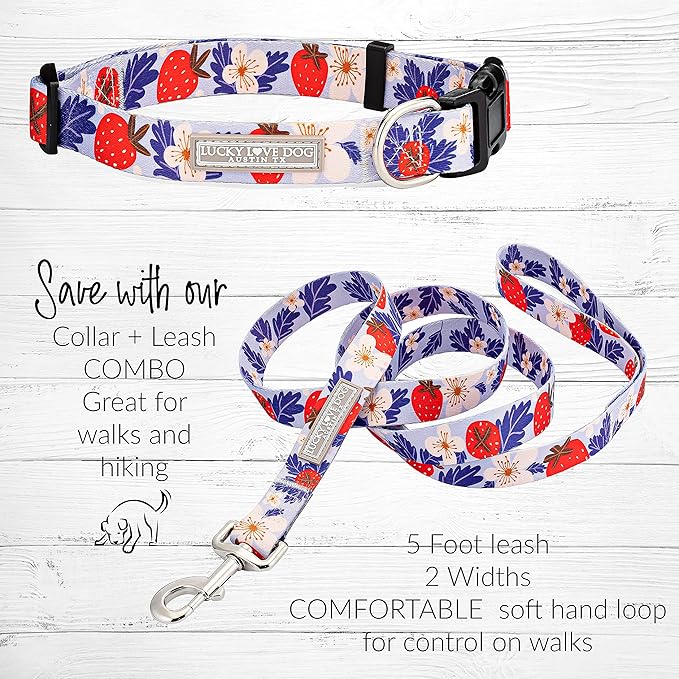 Lucky Love Dog Collars, Strawberry Cute Girl Dog Collar, X-Small Dog Collars for Females, Part of Purchase Donated to Rescue (Extra Small, Sweet Berry, Collar)