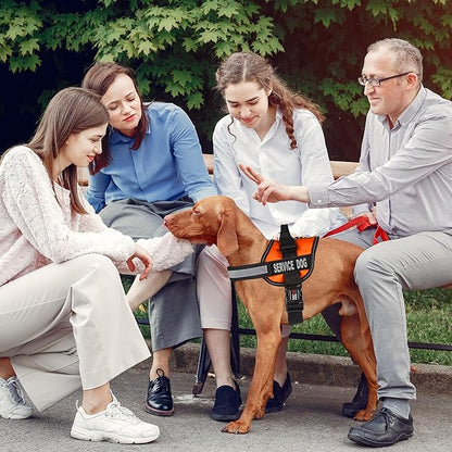 Dogline Unimax Service Dog Harness Vest with Removable Service Dog Patches Adjustable Straps Breathable Neoprene for Medical Identification Training Dogs Girth 15 to 19 in Orange