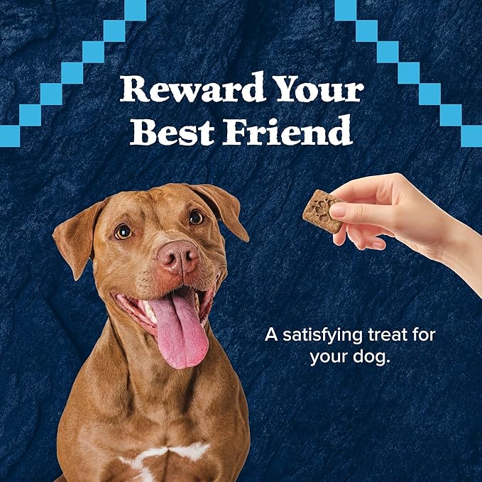 Blue Buffalo Wilderness Trail Treats Crunchy Dog Biscuits, Grain-Free and High-Protein Dog Treats Made with Natural Ingredients, Salmon Recipe 24-oz Bag