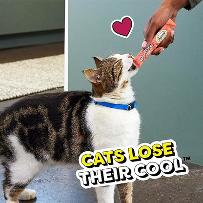 Temptations Creamy Puree Squeezable Lickable Wet Cat Treats with Salmon, 0.42 oz. Tubes, 16 Count