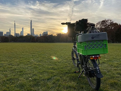 4-Point Adustable Dog Safety Collar Harness, Pet Harness with Four Variable 24in Vertical Clips, Collar Diameter adjusts from 3.5-5.5in No-Choke Pet Harness with Easy Set up for Small to Meduim Dogs