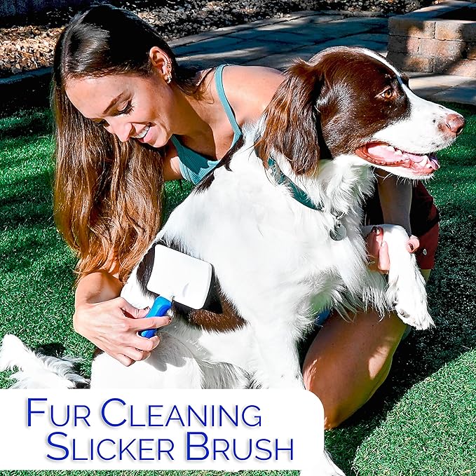 6 In 1 Premium Dog Brush Set - Dog Grooming Brushes - Ball Pin & Bristle Brush, Curved Blade Dematting Comb, Slicker Brush, Deshedding Edge Comb, Detangling Pet Comb