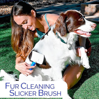 6 In 1 Premium Dog Brush Set - Dog Grooming Brushes - Ball Pin & Bristle Brush, Curved Blade Dematting Comb, Slicker Brush, Deshedding Edge Comb, Detangling Pet Comb