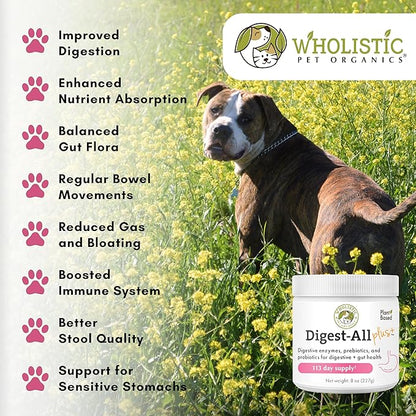 Wholistic Pet Organics Probiotics for Dogs with Digestive Enzymes & Prebiotic Fiber - 8 Oz - Daily Cat & Dog Probiotics for Digestive Health, Anti Diarrhea & Gut Support - Natural Powder Supplement
