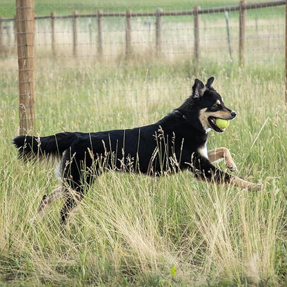 InClover Connectin Natural Hip & Joint Supplement for Dogs with Glucosamine, Chondroitin & Hyaluronic Acid - Powder for Dog Mobility, Comfort & Active Lifestyle Support, 12oz