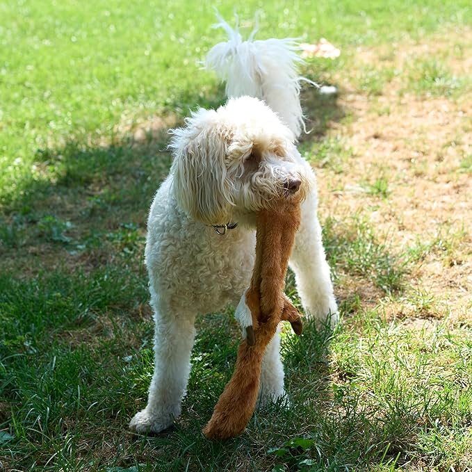 SPOT Skinneeez Fox 23-Inch Stuffing-Free Plush Dog Toy – Realistic Design with 2 Squeakers – Durable, Soft Polyester for Medium & Large Dogs – Tug, Fetch & Shake Play – for Moderate Chewers