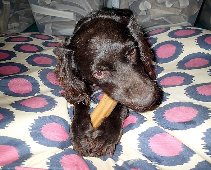 Yak Snak Dog Chews - All Natural Hard Cheese Himalayan Dog Treats - Long Lasting Dog Chews, Made from Yak Milk, Small, Medium. Large & Extra Large Sizes (Large 3-Pack)