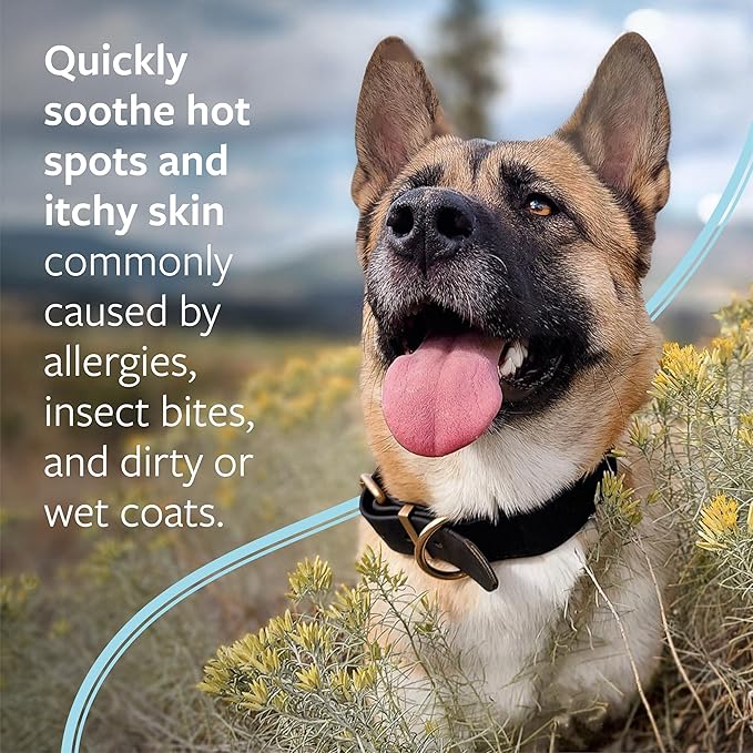 Veterinary Formula Clinical Care Hot Spot & Itch Relief Medicated Shampoo for Dogs and Cats 16 Fl Oz  Helps Alleviate Sensitive Skin, Scratching, and Licking of Coat (2 Pack)