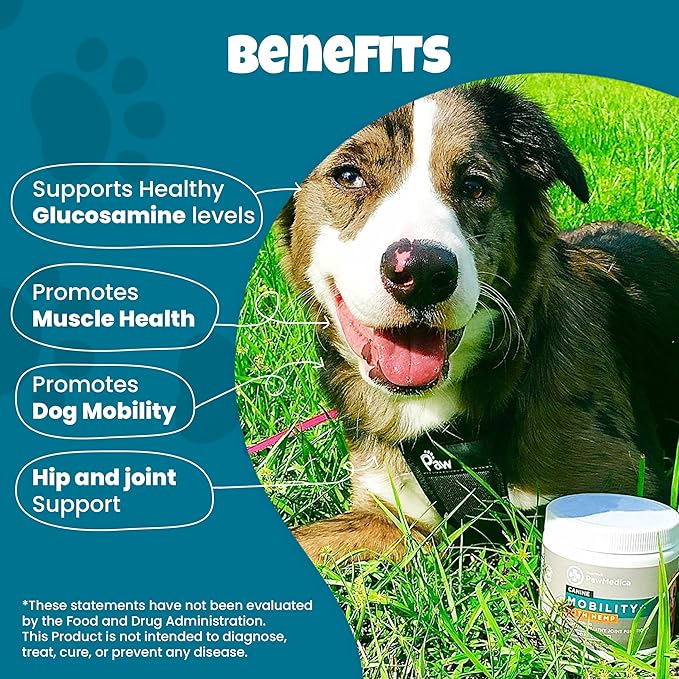 PawMedica Glucosamine for Dogs, Hip & Joint Care Chews for Dogs, Joint Support for Dog Joint Supplements with Hemp Mobility for Dogs, Senior Dog Joint Supplement Large Breed - 120 Dog Hemp Chews