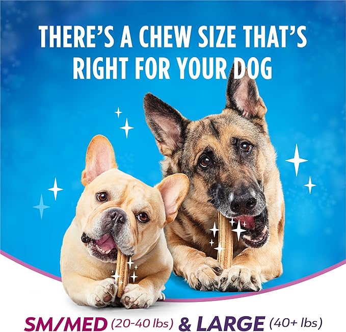 Dentalife Purina Plus Digestive Support Chicken and Pumpkin Flavor Small/Medium Dog Dental Chews, MP - 19 ct. Pouch