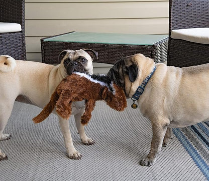 FGA MARKETPLACE Chipmunk Flat NO Stuffing NO Squeak Plush Dog Toy, Funny Style Will Entertain Your Dog for Hours, Recommended for Small and Medium Dog 21 INCH Long