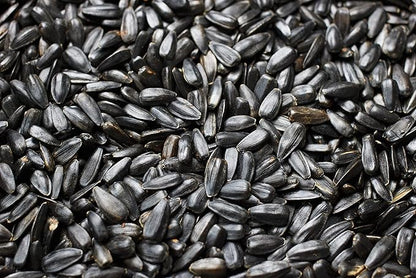 Flying Colors Premium Organic Wild Bird Seed | Black Oil Sunflower Seed | USDA Organic Ingredients | Best Seed for Backyard Bird Feeders | 3 Gallon Easy-Pour Carton