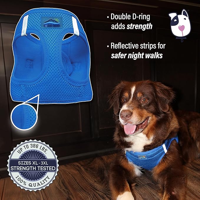 Doggie Design Dog Harness - No Choke Dog Harness, Dog Vest, Mesh Polyester, Pet Harness, Simple Step in Design, Harness for Dog - Cobalt Blue, 3XL