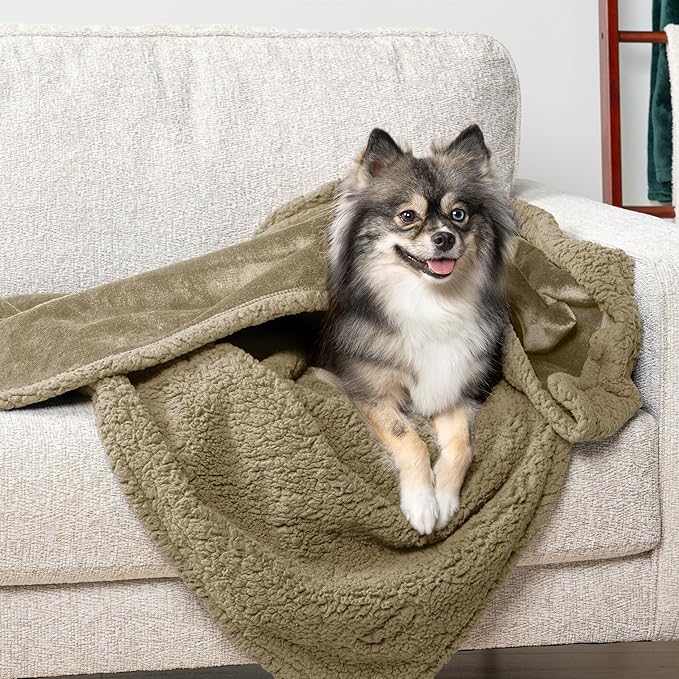 PetAmi Waterproof Dog Blanket for Small Medium Dog, Pet Puppy Blanket Couch Cover Protection, Sherpa Fleece Cat Blanket Couch Sofa Bed Furniture Protector Reversible Soft Washable 29x40 Taupe Taupe