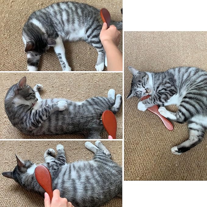 Bristle Cat Hair Brush for Shedding, Soft Cat Brush Wooden Handle, Short & Long Haired Cat Dog Brush Pet Grooming