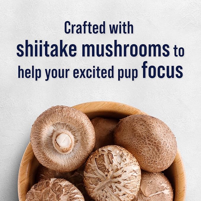 Stewart Freeze Dried Dog Treats, Salmon & Vegetable, Focus Treats, Cognitive Function, Grain Free, 8 Ounce Resealable Pouch, Made in USA