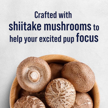 Stewart Freeze Dried Dog Treats, Salmon & Vegetable, Focus Treats, Cognitive Function, Grain Free, 4 Ounce Resealable Pouch, Made in USA