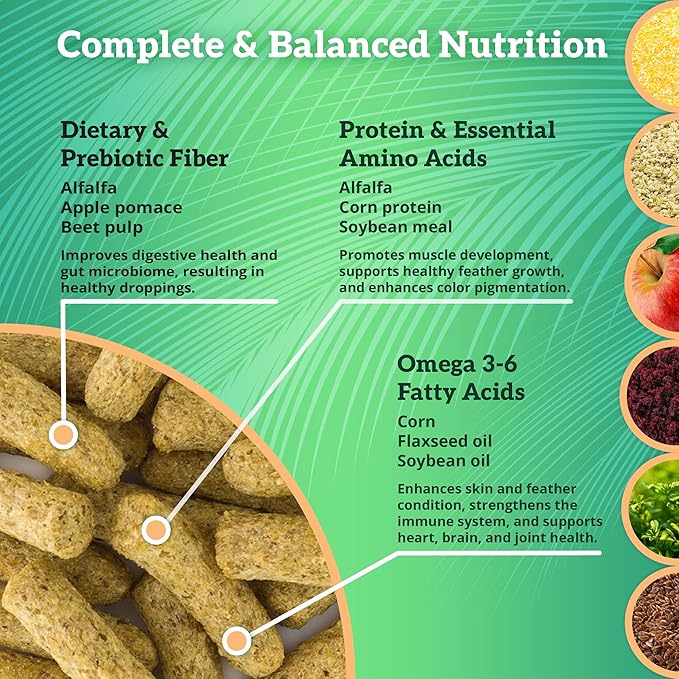 Scenic Corn Jungle Premium Parrot Food - Natural Flavors, High Protein, Low Iron Bird Pellets for Large Parrots, Macaw Food, Cockatoo, African Grey Parrots, Omega 3, Vitamins, Minerals, 2lb(Pack of 2)